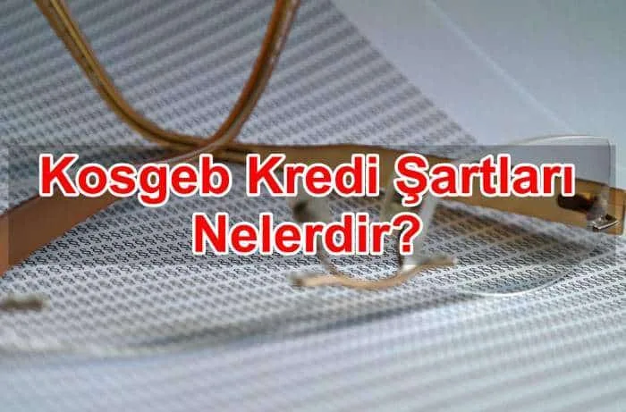 Kosgeb Kredi Şartları Nelerdir?