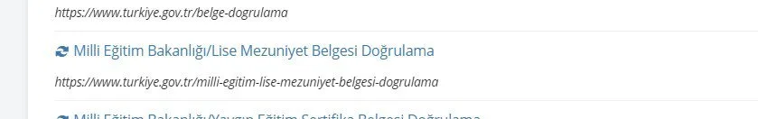 öğrenci belgesi doğrulama listesi
