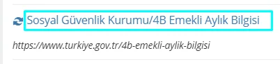 E-Devlet Emekli Maaşı Sorgulama İşlemi 4
