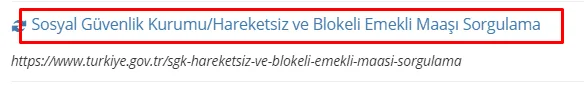 E-Devlet Emekli Maaşı Sorgulama İşlemi 10