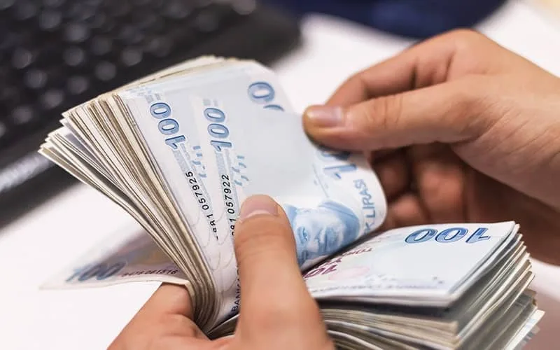 2025 SED Yardımı Başvuru ve E-Devlet Sorgulama Rehberi 2