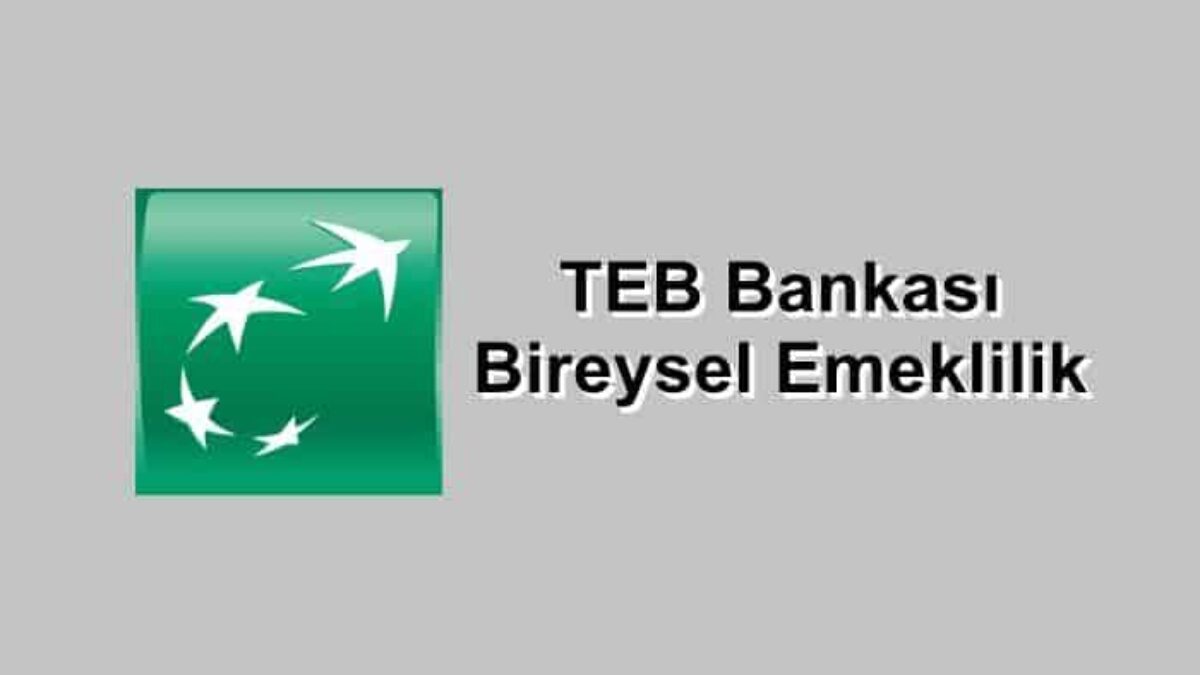 Teb Bireysel Emeklilik Basvurusu Ve Sorgulama Islemleri