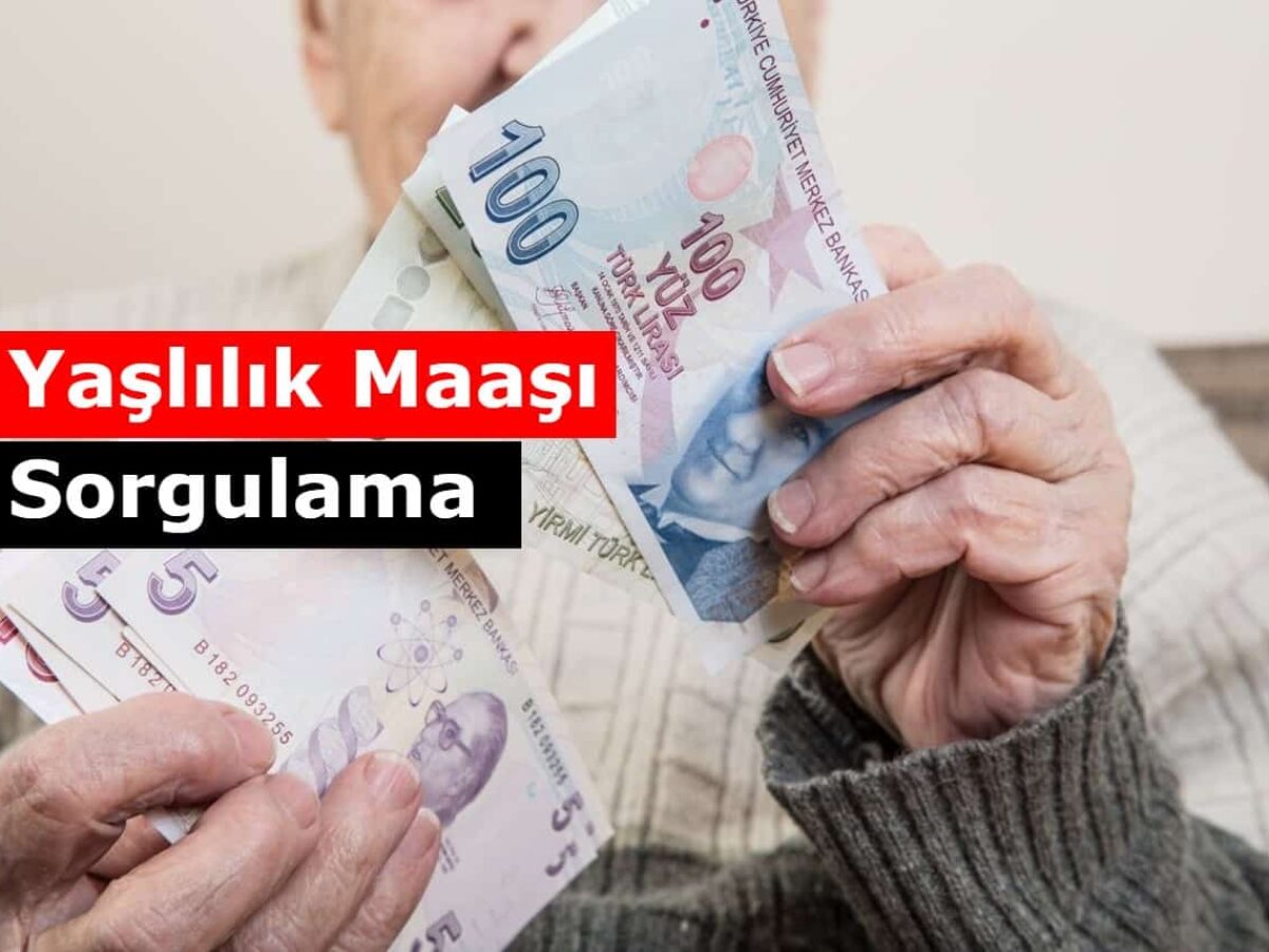Ptt 65 Yas Yaslilik Maasi Ayligi Sorgulama E Devlet