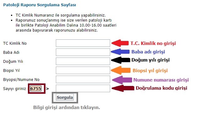 Tc No Ile Tahlil Sonucu Sorgulama Ve Ogrenme Nasil Yapilir