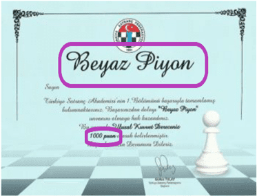 ukd beyaz piyon