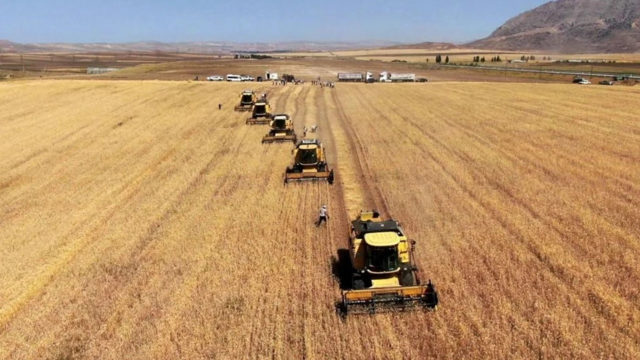 Devlet Mazot Desteği