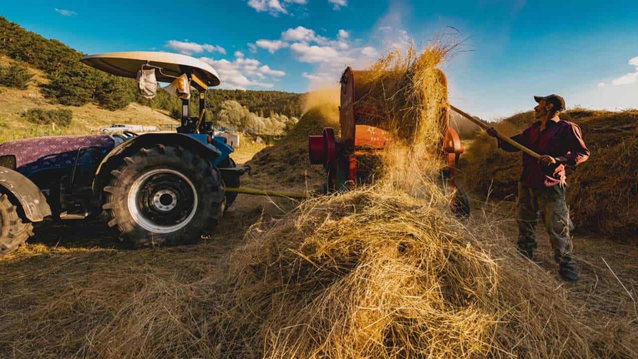 Devlet Mazot Desteği