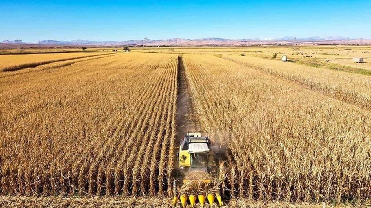 Devlet Mazot Desteği