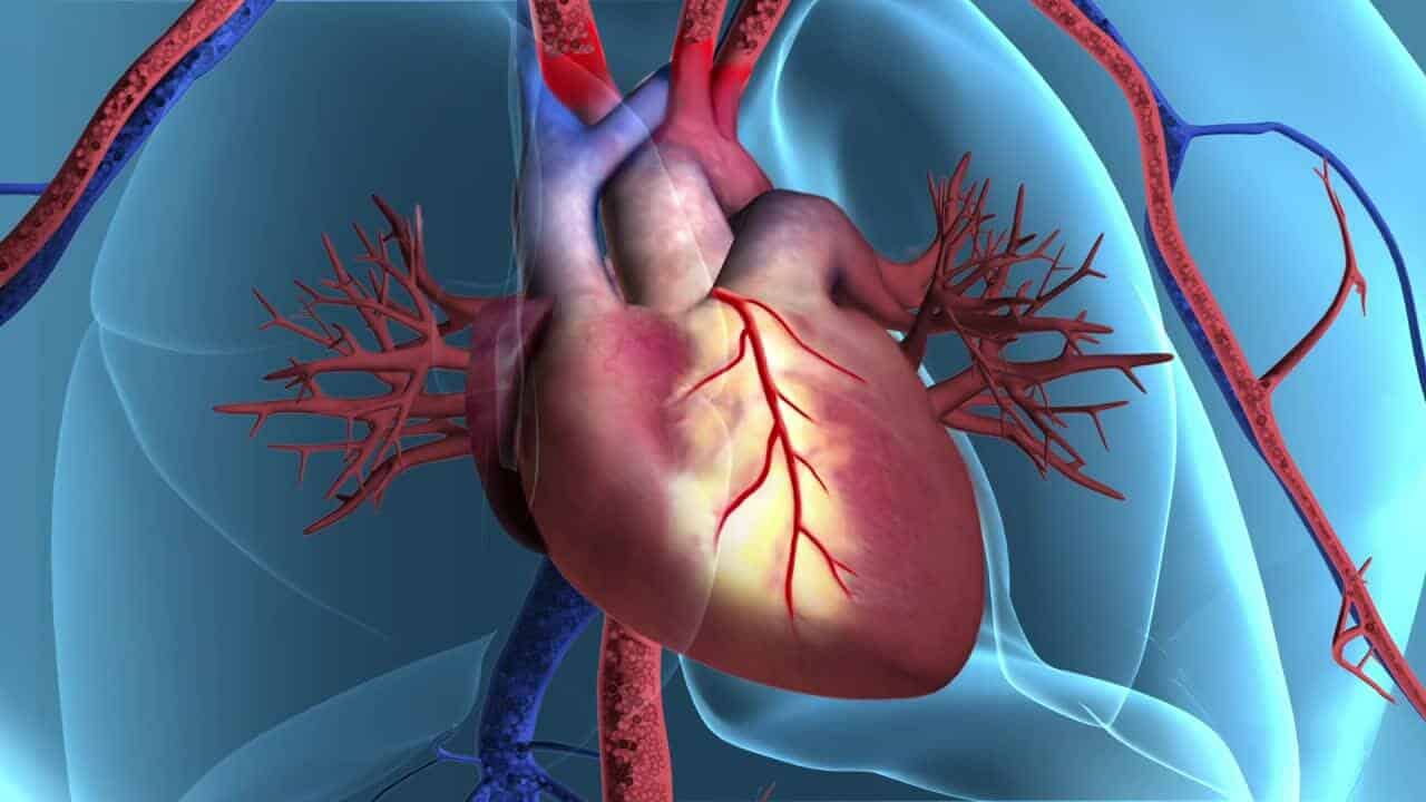 Bypass SGK Karşılıyor Mu